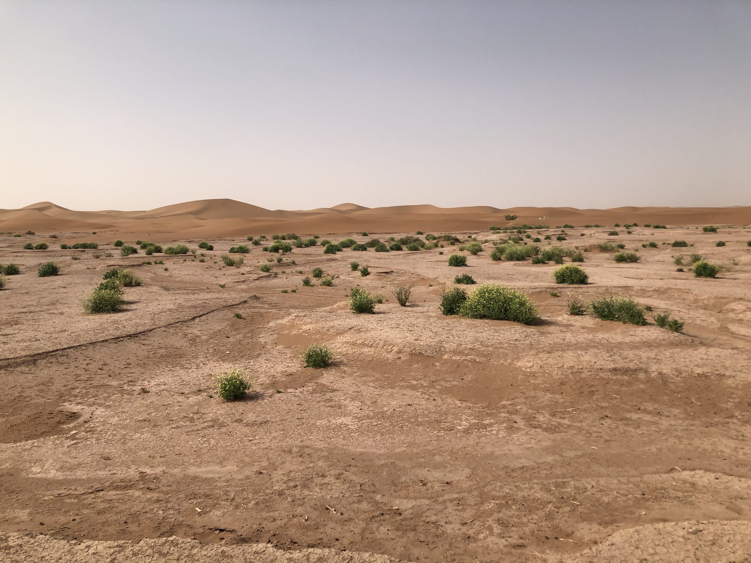 image001 (2)