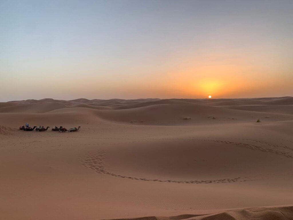Dunes 18