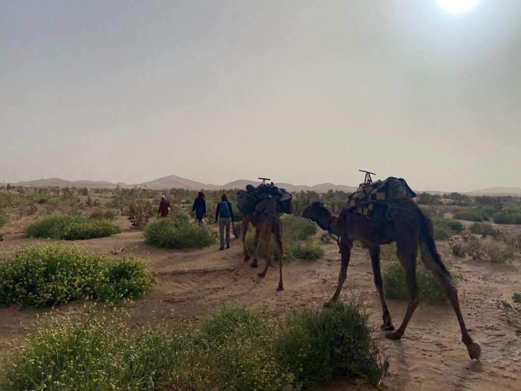 Trekking 9